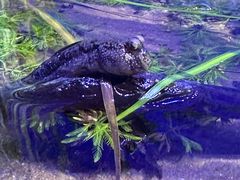 -上海海洋水族馆