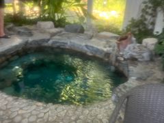 -中家鑫园温泉酒店鑫悦汤泉