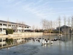 -中家鑫园温泉酒店-自助餐