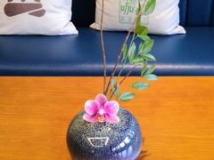 -菩提树下茶咖鼓捣