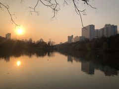 -浮庄