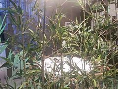 大堂-茅庐毛血旺(临沂泰盛广场店)