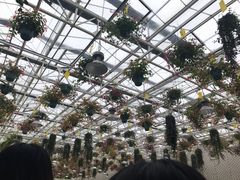 -天宫南铂玫瑰园酒店