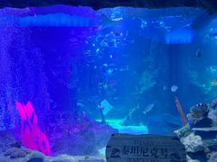 -沈阳海洋探索中心