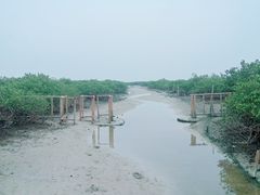 -北海金海湾红树林生态旅游区