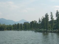 -飞来湖湿地公园