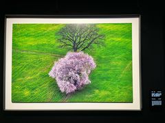 -罗红摄影艺术馆