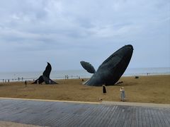 -烟台金沙滩海滨公园