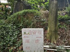 -东莞市大岭山森林公园