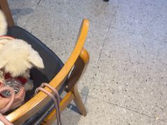 -张记虾尾·火锅·烧烤·大排档(涉外店)