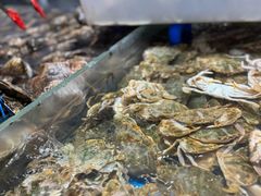 -半岛听涛蒸汽海鲜自助(K11店)