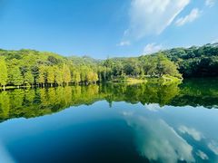-广州市白云山风景名胜区