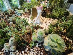 -春树下·树屋花房西餐厅(罍街AS1980店)