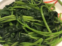 清炒红薯叶-嘉和一品(长江道店)