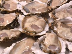 -千岛蚝高压锅生蚝·人参火锅(白云万达店)