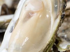 生蚝-先锋海鲜市场