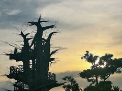 -芒洲湿地公园