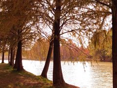 -上海海湾国家森林公园