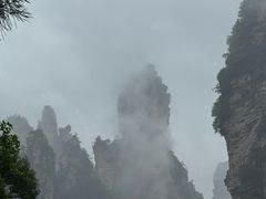 -岩泊渡桂鱼楼活鱼馆