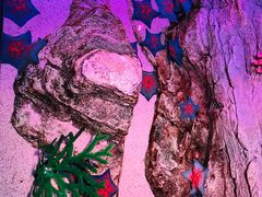 -沈阳海洋探索中心