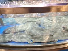 -盒马鲜生(杭州运河上街店)