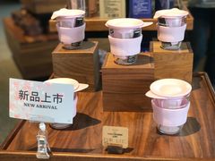 过滤杯-星巴克(迪士尼小镇店)