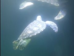 -厦门海底世界