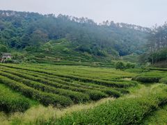 -武夷山风景名胜区-虎啸岩