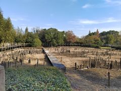 -河姆渡遗址博物馆