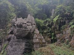 -梭布垭石林景区