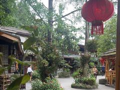 -青城甲(青城山店)