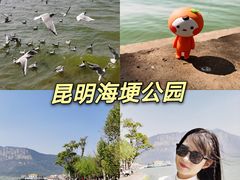 -滇池海埂公园