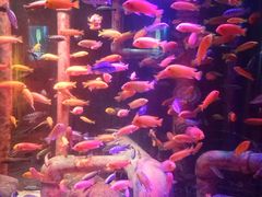 -沈阳海洋探索中心