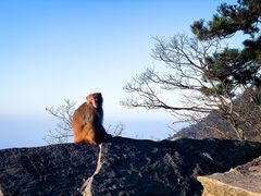 -庐山风景名胜区