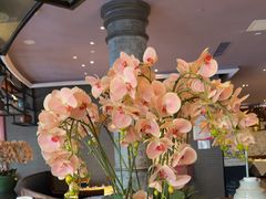 -八府香鸭·啫啫煲(华山路店)