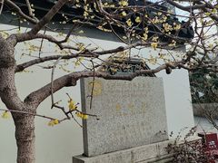 -上海醉白池公园
