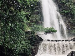-姑婆山旅游区