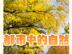 -元大都城垣遗址公园