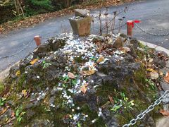 -天女山森林公园