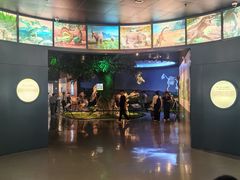 -安徽省地质博物馆