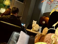 -咖法森林·咖啡  酒吧(天河店)