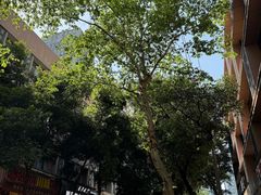 -常识咖啡common sense(春熙路店)
