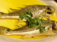 鸡汁黄鱼-必点海鲜·鲅鱼水饺(鞍山西道店)