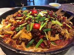 老板恋上鱼-老板恋上鱼(恒隆广场店)