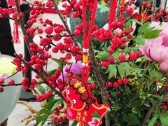 -上海辰山植物园