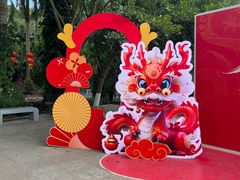 -广东茂名森林公园
