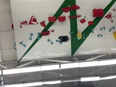 -绿壁虎攀岩基地(Tcar店)