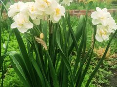 -北京植物园南门售票处