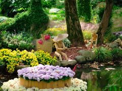 -上海共青森林公园