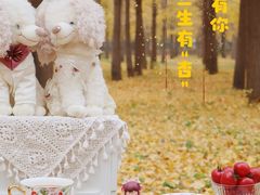 -欢乐水魔方水世界